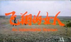 飞翔的女人海报