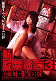 新监禁逃亡3:美姐妹服从守则海报