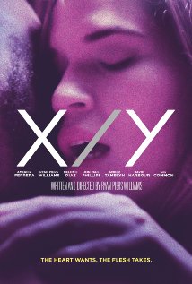 XY迷情纽约海报