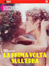 爱在榆树下/La prima volta sull erba海报