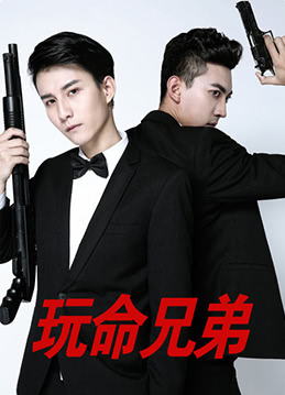 玩命兄弟海报