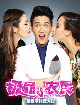 极品小农民海报