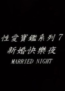 新婚快乐夜/洞房海报