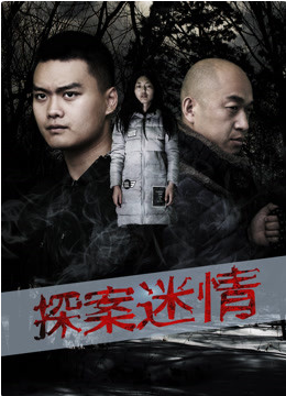 探案迷情海报