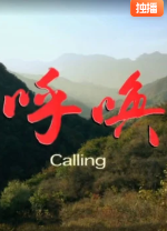呼唤海报