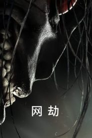 网劫海报