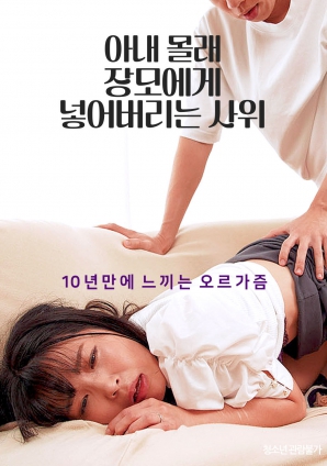 偷偷把东西放给岳母的女婿海报