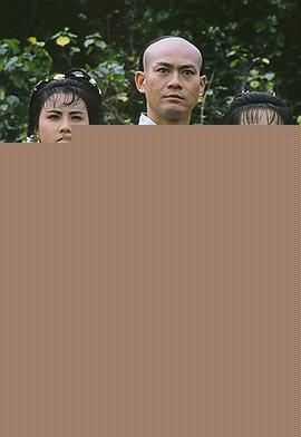 杜心五粤语海报