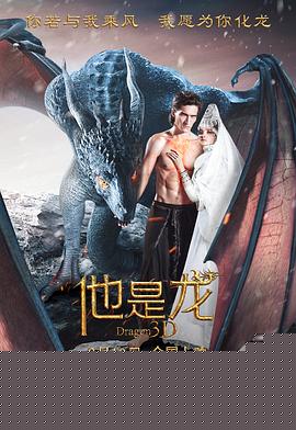 他是龙国语海报