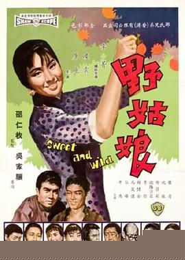 野姑娘海报